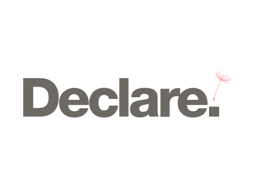 Declare Logo